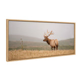 Sylvie Tule Elk No 3 Framed Canvas by kateandlaurel - main product image for Resin Society