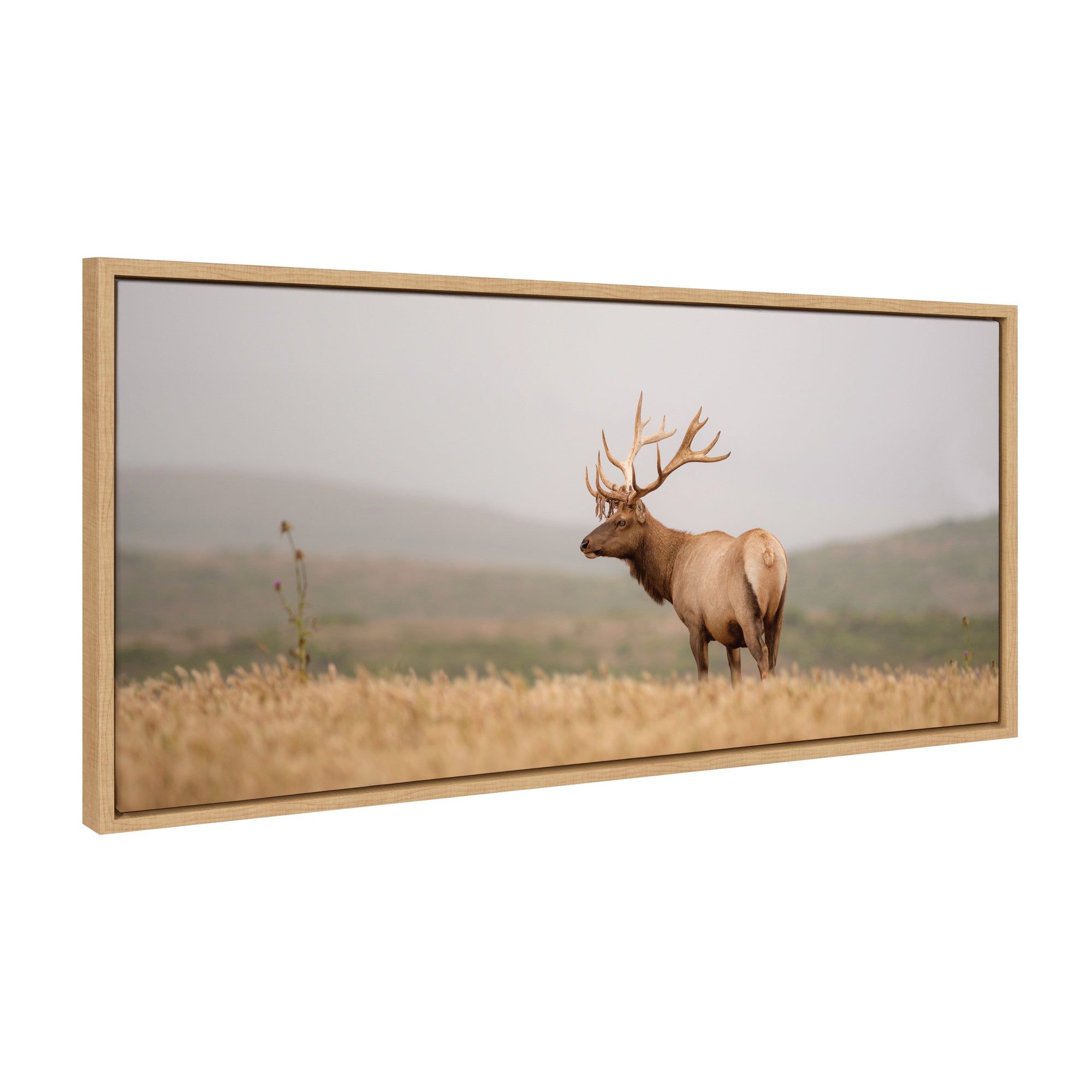 Sylvie Tule Elk No 3 Framed Canvas by kateandlaurel - main product image for Resin Society