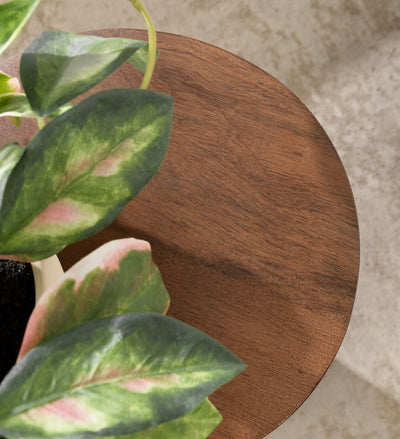 Reid Wood Drink Table