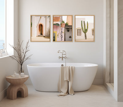 Sylvie Cabo San Lucas No 4, Isla Holbox No 3, Cactus no 2 Mexico Framed Canvas Art Set by Crystal Lynn Collins