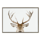 Framed canvas art featuring a close-up of a stag's head with large, textured antlers against a white background, emphasizing natural tones and details.