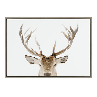 Sylvie Stag Peekaboo Framed Canvas by Amy Peterson Art Studio