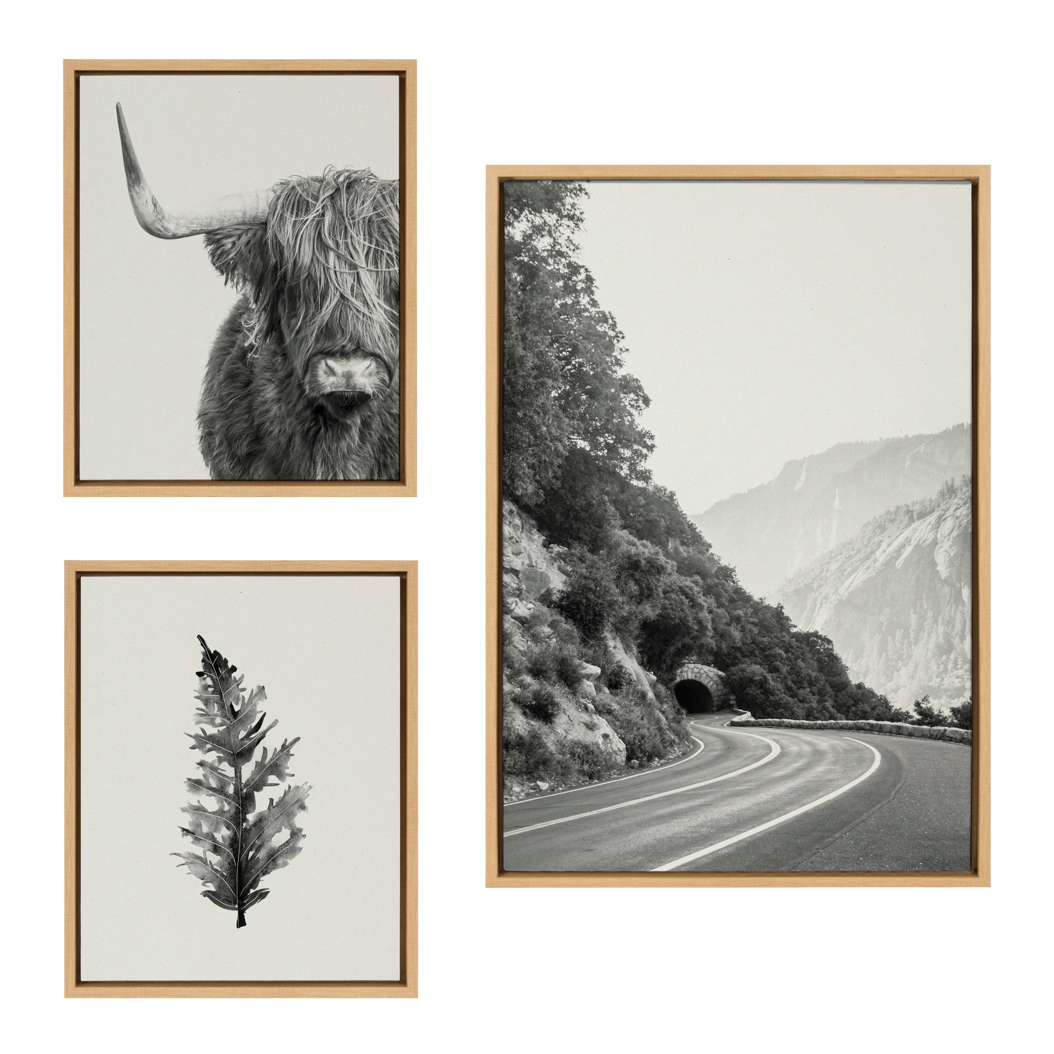 Sylvie Highland Cow and Vintage Botanical Framed Canvas Set by Various by kateandlaurel - main product image for Resin Society