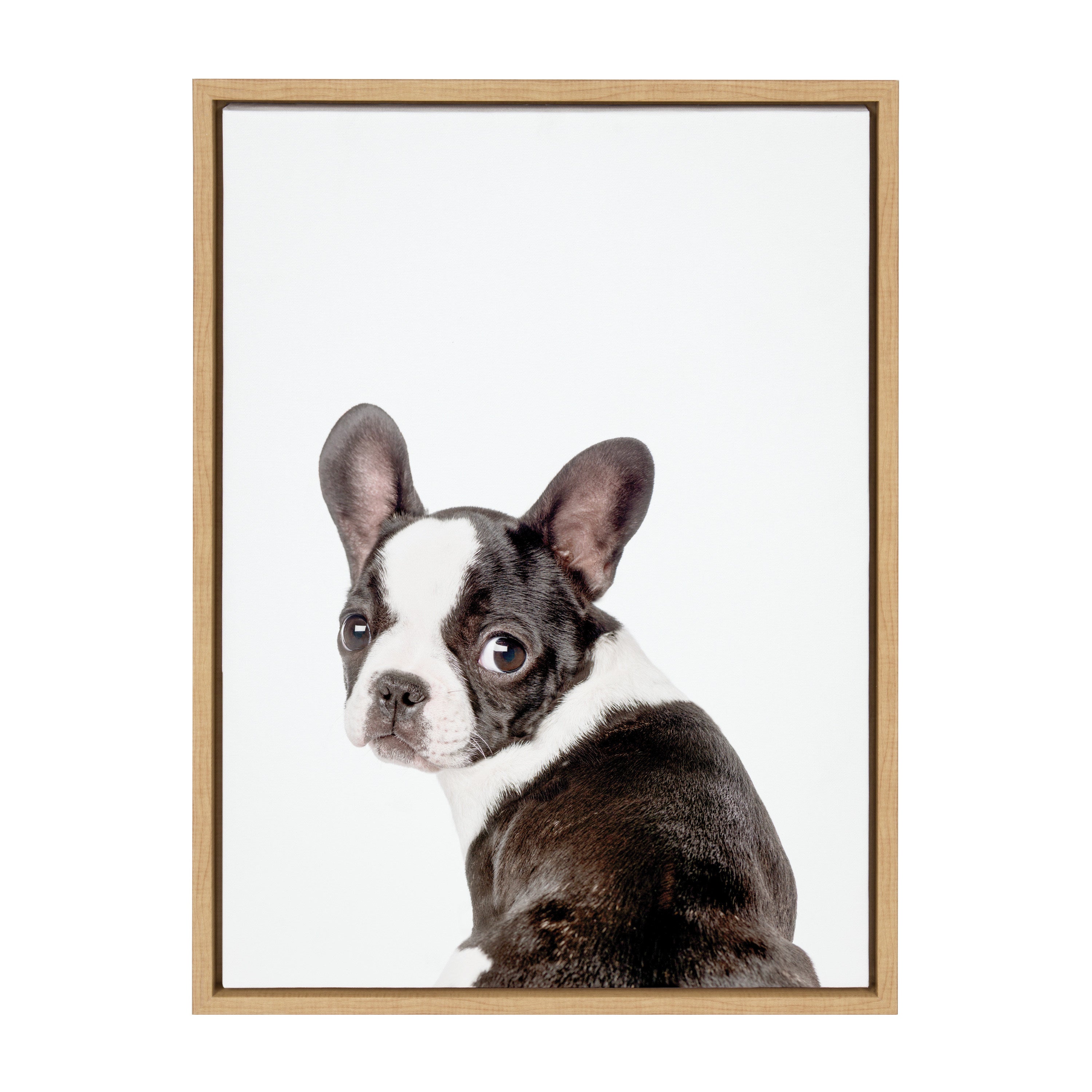 Sylvie Animal Studio French Bulldog Framed Canvas by Amy Peterson Art Studio