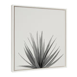 Sylvie Haze Agave Succulent Framed Canvas by The Creative Bunch Studio by kateandlaurel - product image 2 for Resin Society