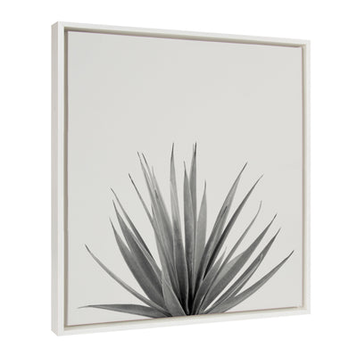 Sylvie Haze Agave Succulent Framed Canvas by The Creative Bunch Studio by kateandlaurel - product image 2 for Resin Society