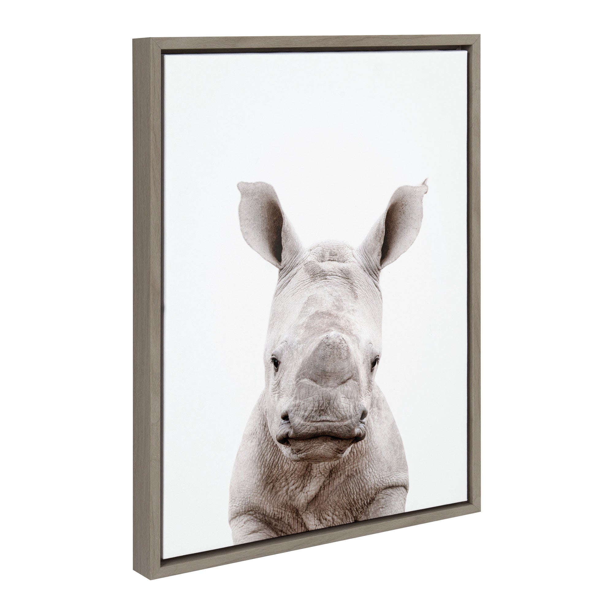 Sylvie Animal Studio Baby Rhino Framed Canvas by Amy Peterson Art Studio in a modern frame
