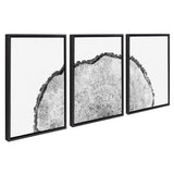 Sylvie Tree Rings Set Framed Canvas by kateandlaurel - product image 13 for Resin Society