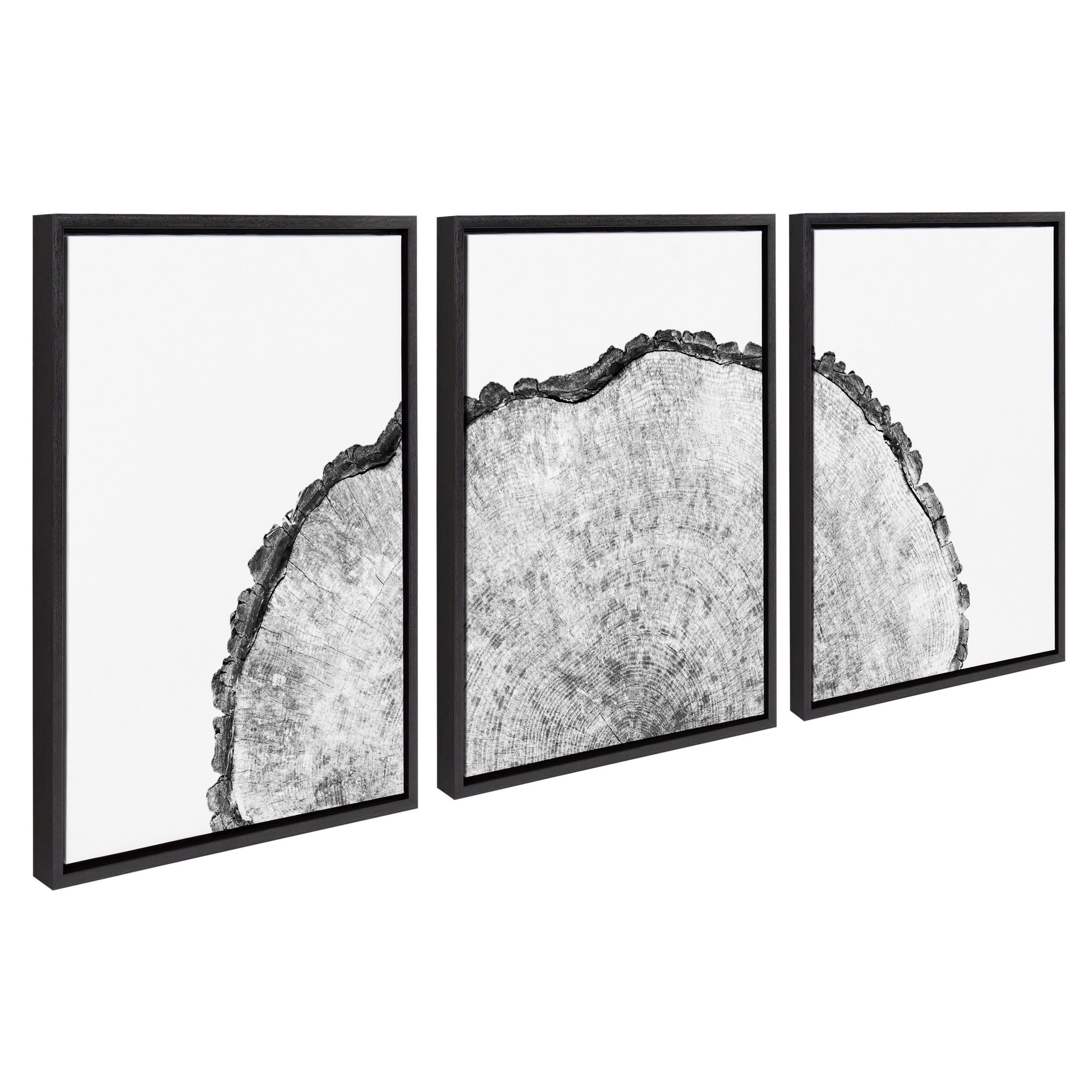 Sylvie Tree Rings Set Framed Canvas by kateandlaurel - product image 13 for Resin Society