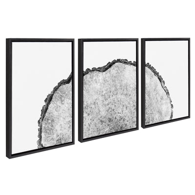 Sylvie Tree Rings Set Framed Canvas by kateandlaurel - product image 13 for Resin Society