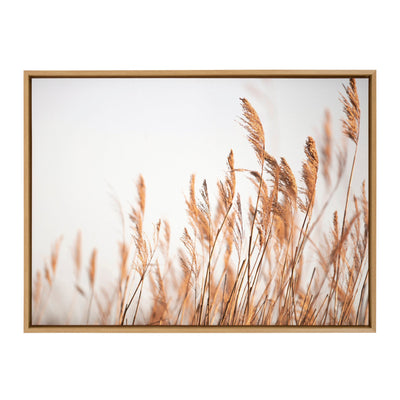 Sylvie Marsh Grass No 4 Framed Canvas by kateandlaurel - product image 2 for Resin Society