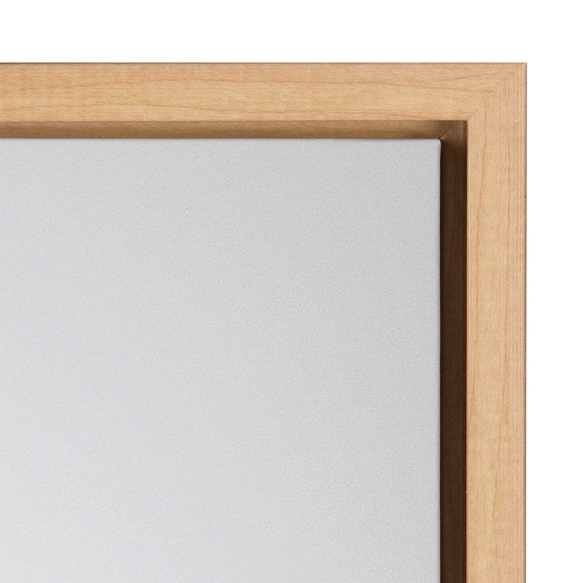 Sylvie Seagull Framed Canvas by Tai Prints by kateandlaurel - product image 3 for Resin Society