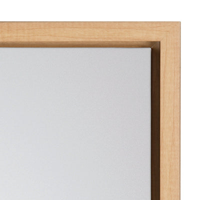 Sylvie Seagull Framed Canvas by Tai Prints by kateandlaurel - product image 3 for Resin Society