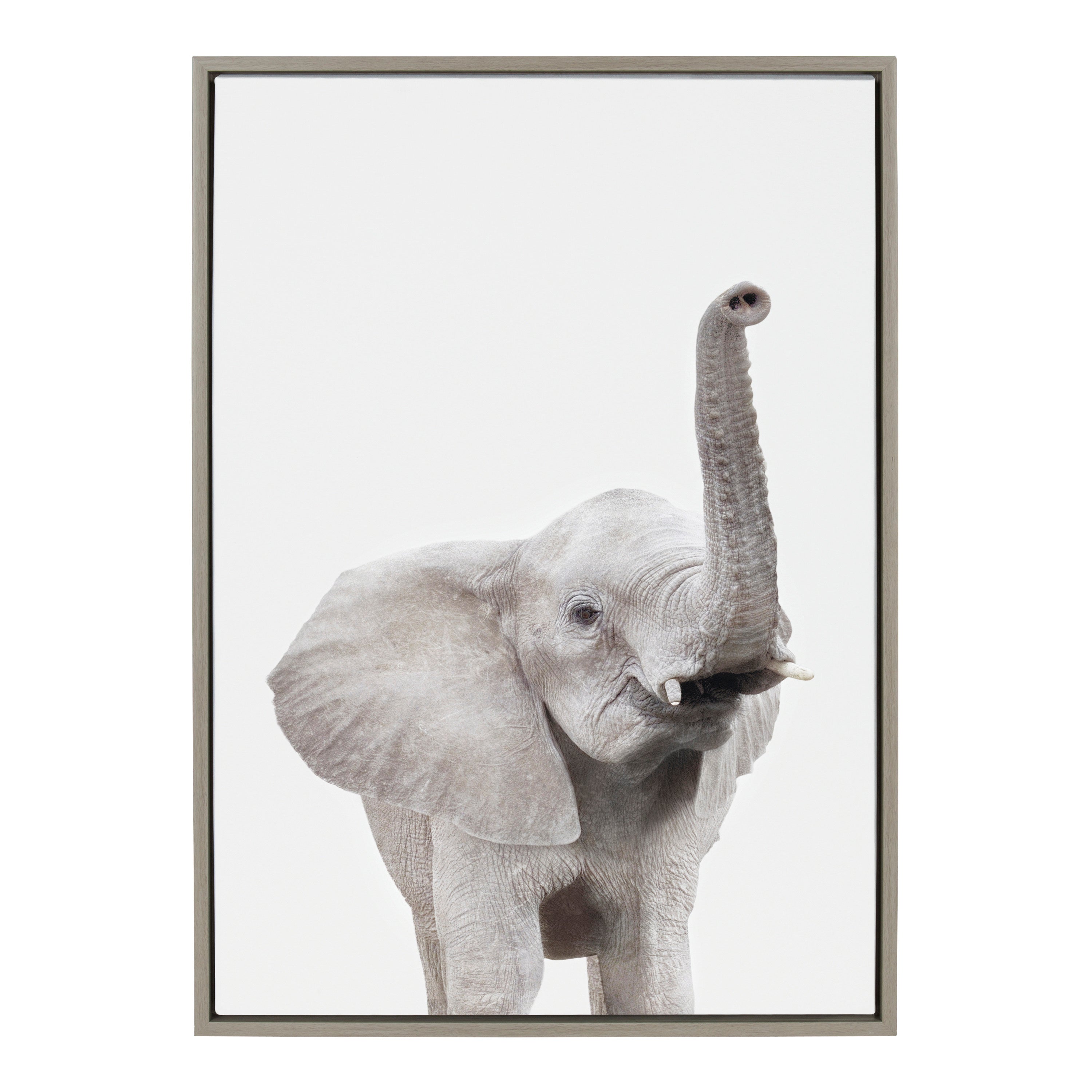 Sylvie Young Elephant Framed Canvas by Amy Peterson by kateandlaurel - product image 16 for Resin Society