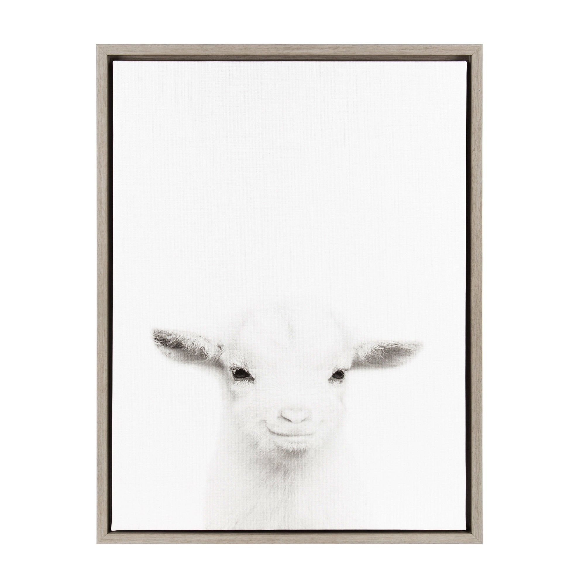 Sylvie Baby Goat Framed Canvas by Simon Te Tai by kateandlaurel - main product image for Resin Society