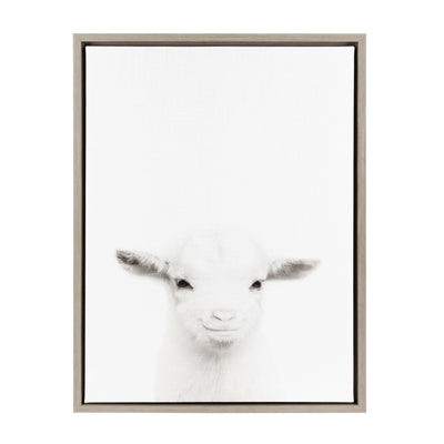 Sylvie Baby Goat Framed Canvas by Simon Te Tai by kateandlaurel - main product image for Resin Society