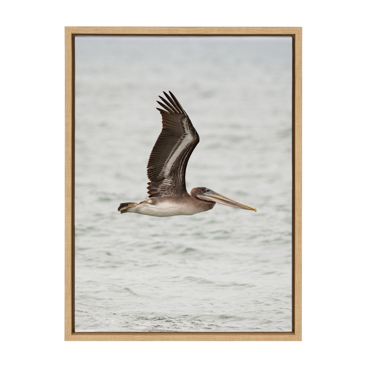 Framed canvas showing a brown pelican gliding over calm gray water with wings fully extended against a soft, muted background.