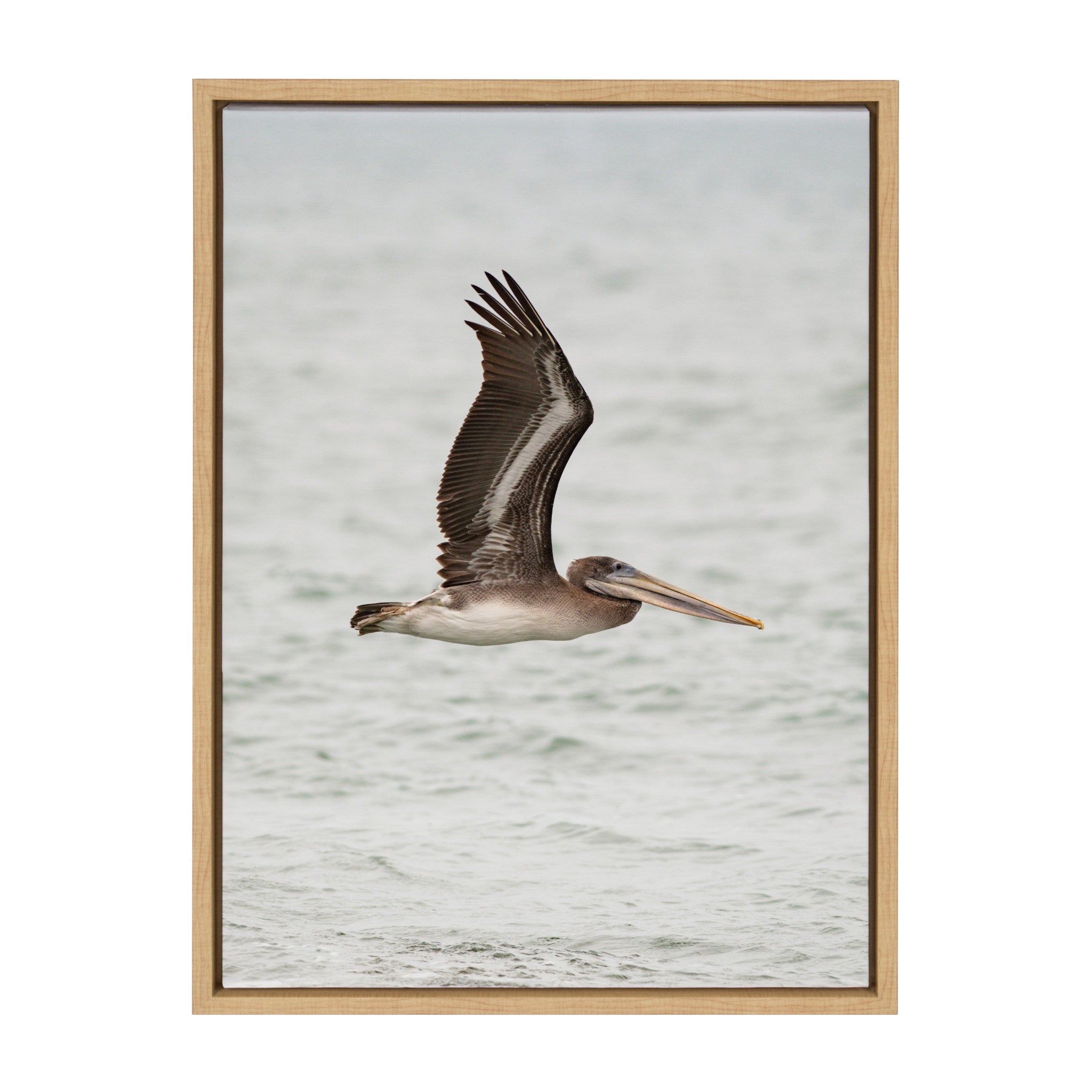 Sylvie Pelican No 1 Framed Canvas by Crystal Lynn Collins