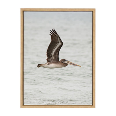 Sylvie Pelican No 1 Framed Canvas by Crystal Lynn Collins