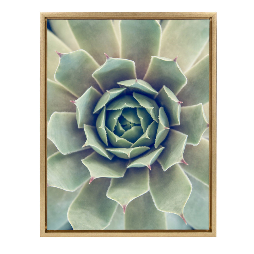 Sylvie Succulent 1 Framed Canvas by kateandlaurel - main product image for Resin Society