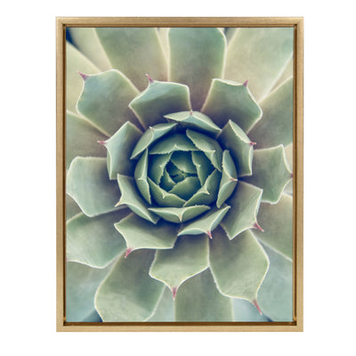 Sylvie Succulent 1 Framed Canvas by kateandlaurel - main product image for Resin Society