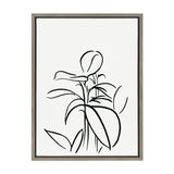 Sylvie Botanical Sketch Print No 1 Framed Canvas by The Creative Bunch