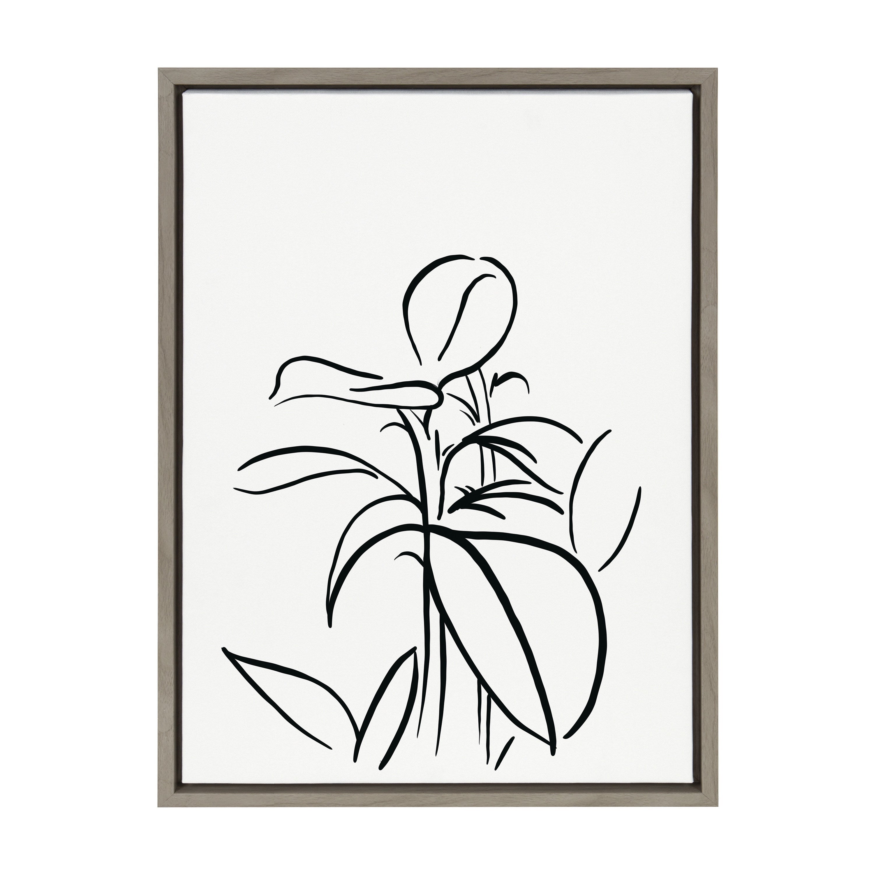 Sylvie Botanical Sketch Print No 1 Framed Canvas by The Creative Bunch