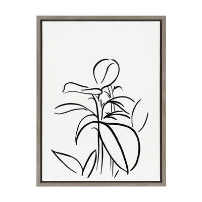 Sylvie Botanical Sketch Print No 1 Framed Canvas by The Creative Bunch