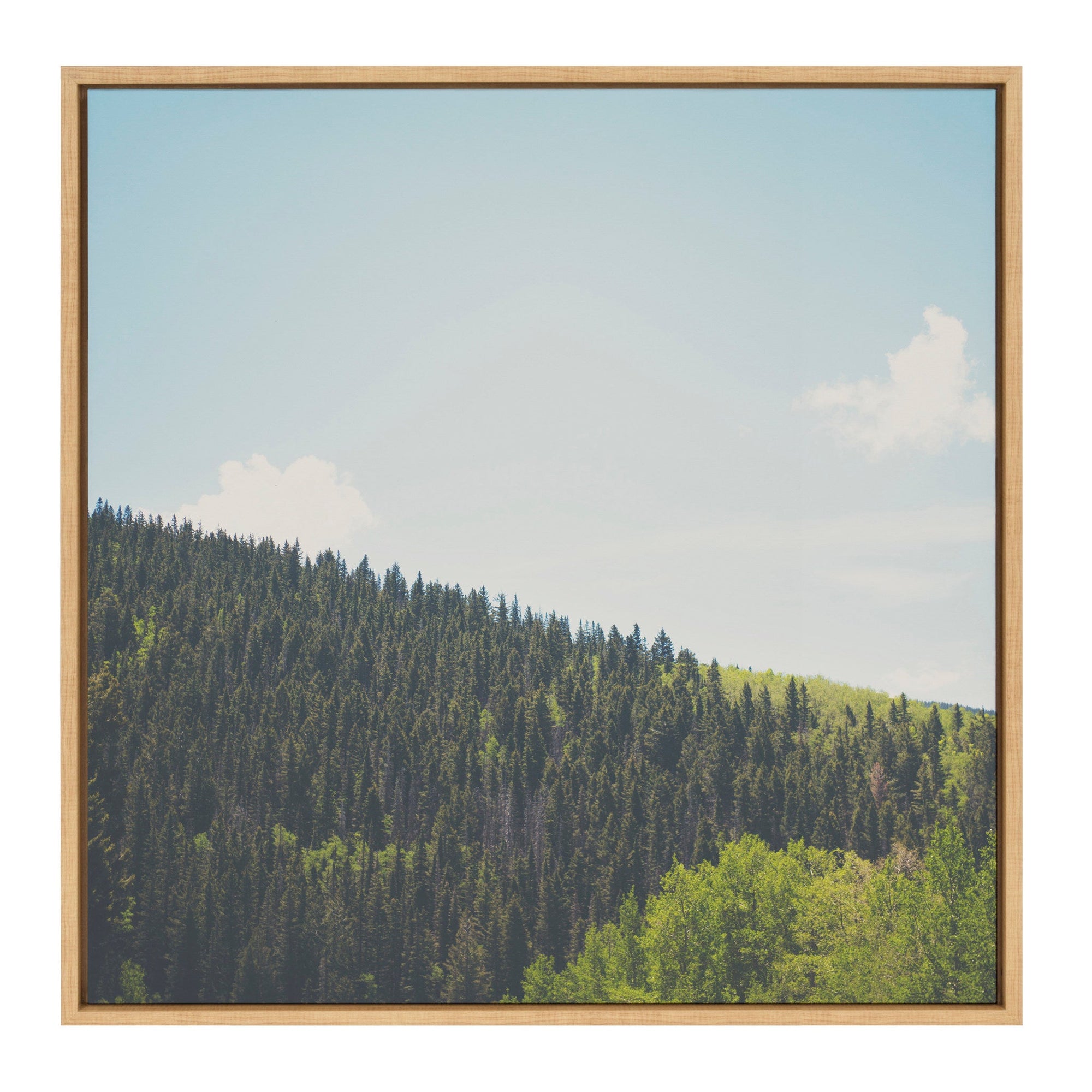 Sylvie Above the Tree Line Framed Canvas by Laura Evans by kateandlaurel - main product image for Resin Society