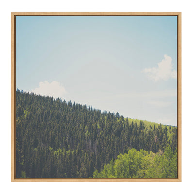 Sylvie Above the Tree Line Framed Canvas by Laura Evans by kateandlaurel - main product image for Resin Society