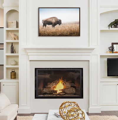 Sylvie American Bison Buffalo in Prairie Grass Framed Canvas by Warren Metcalf