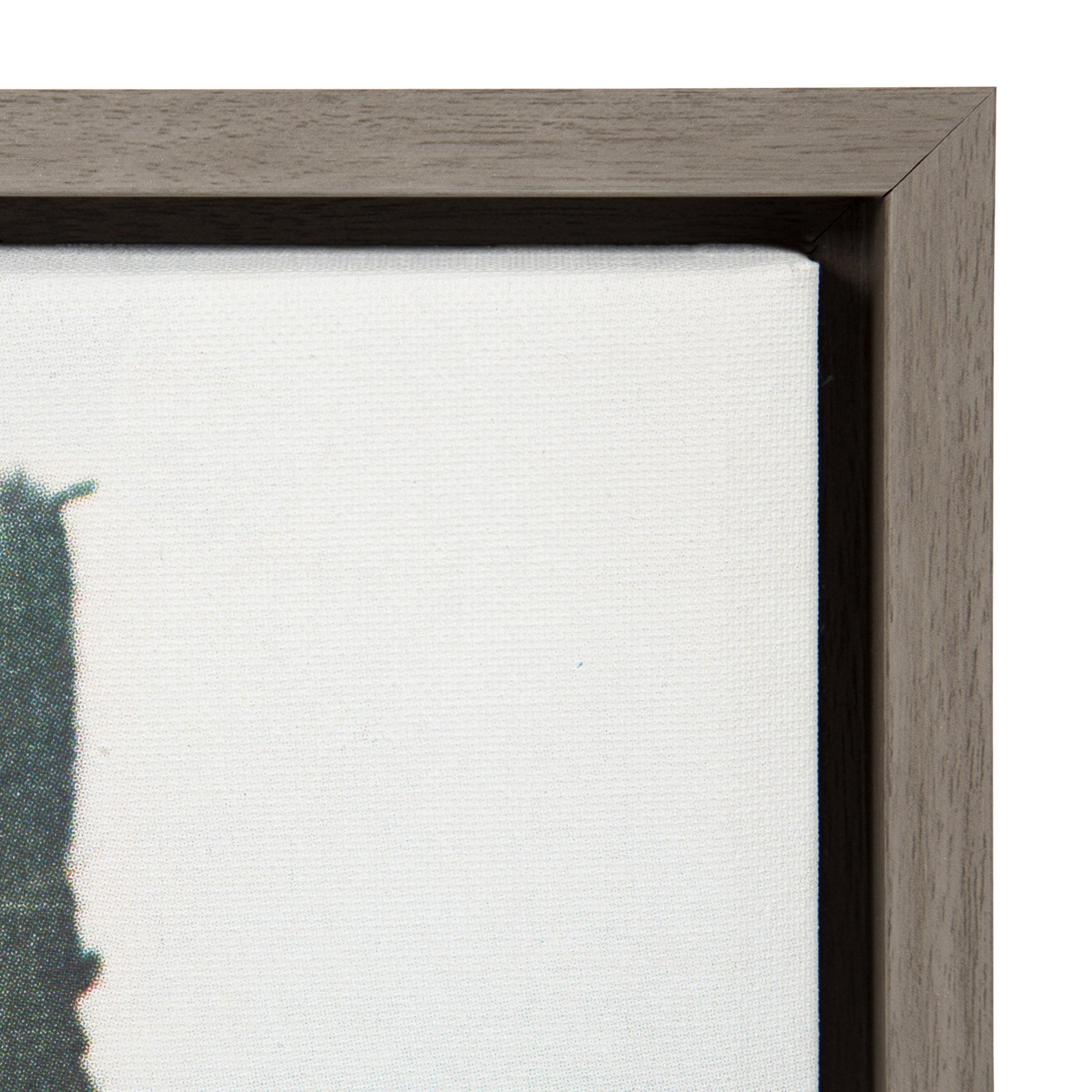 Sylvie Décor Framed Canvas by kateandlaurel - product image 3 for Resin Society