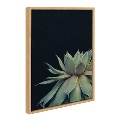 Sylvie Succulent Framed Canvas by F2 Images by kateandlaurel - product image 10 for Resin Society