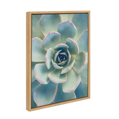 Sylvie Succulent 7 Framed Canvas by kateandlaurel - product image 2 for Resin Society