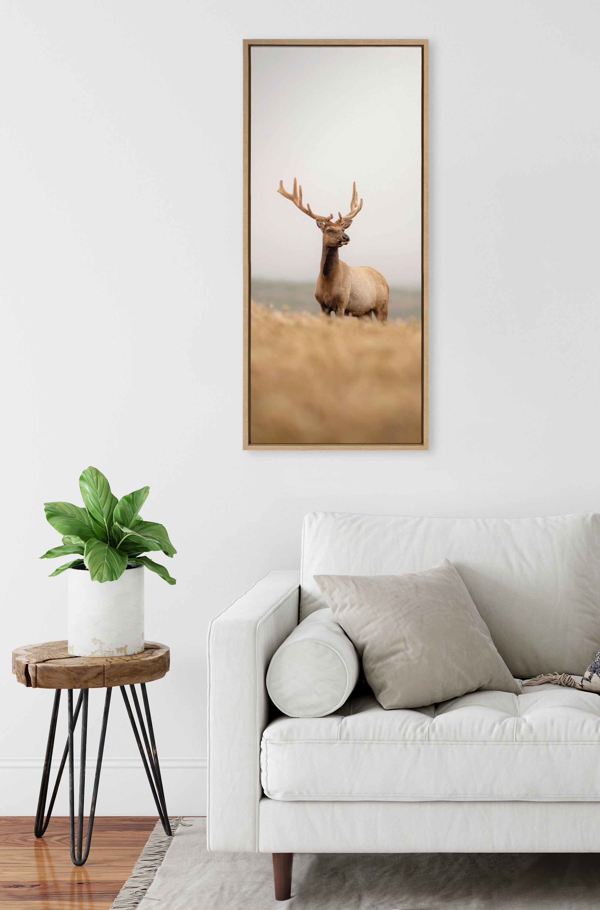 Sylvie Tule Elk No 6 Framed Canvas by kateandlaurel - product image 5 for Resin Society