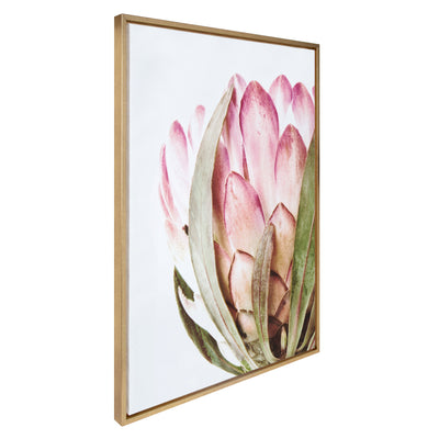 Sylvie Pink Protea Flower Framed Canvas by Amy Peterson by kateandlaurel - product image 7 for Resin Society