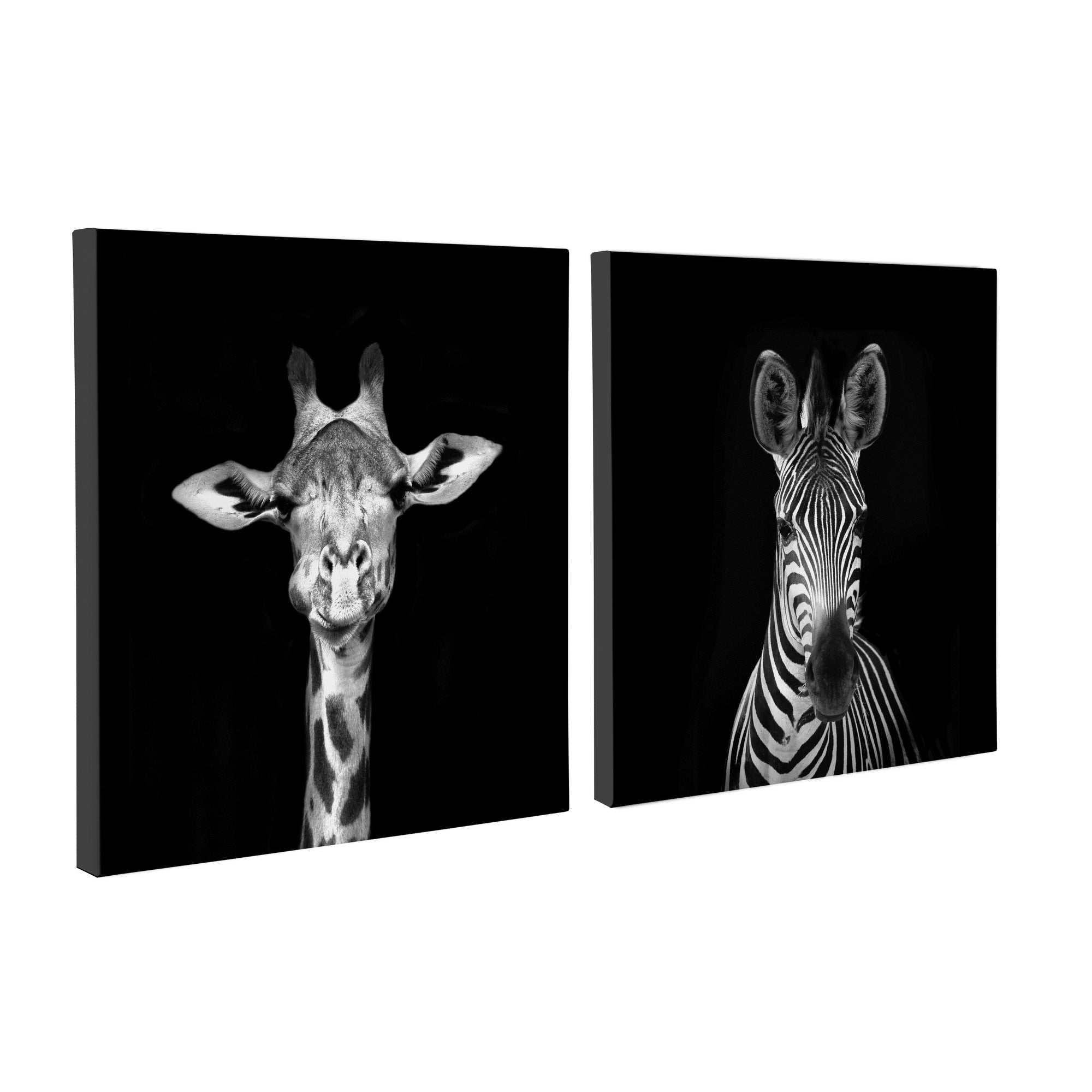 Minimalist Animal Portrait on Black Canvas by The Creative Bunch Studio by kateandlaurel - product image 10 for Resin Society