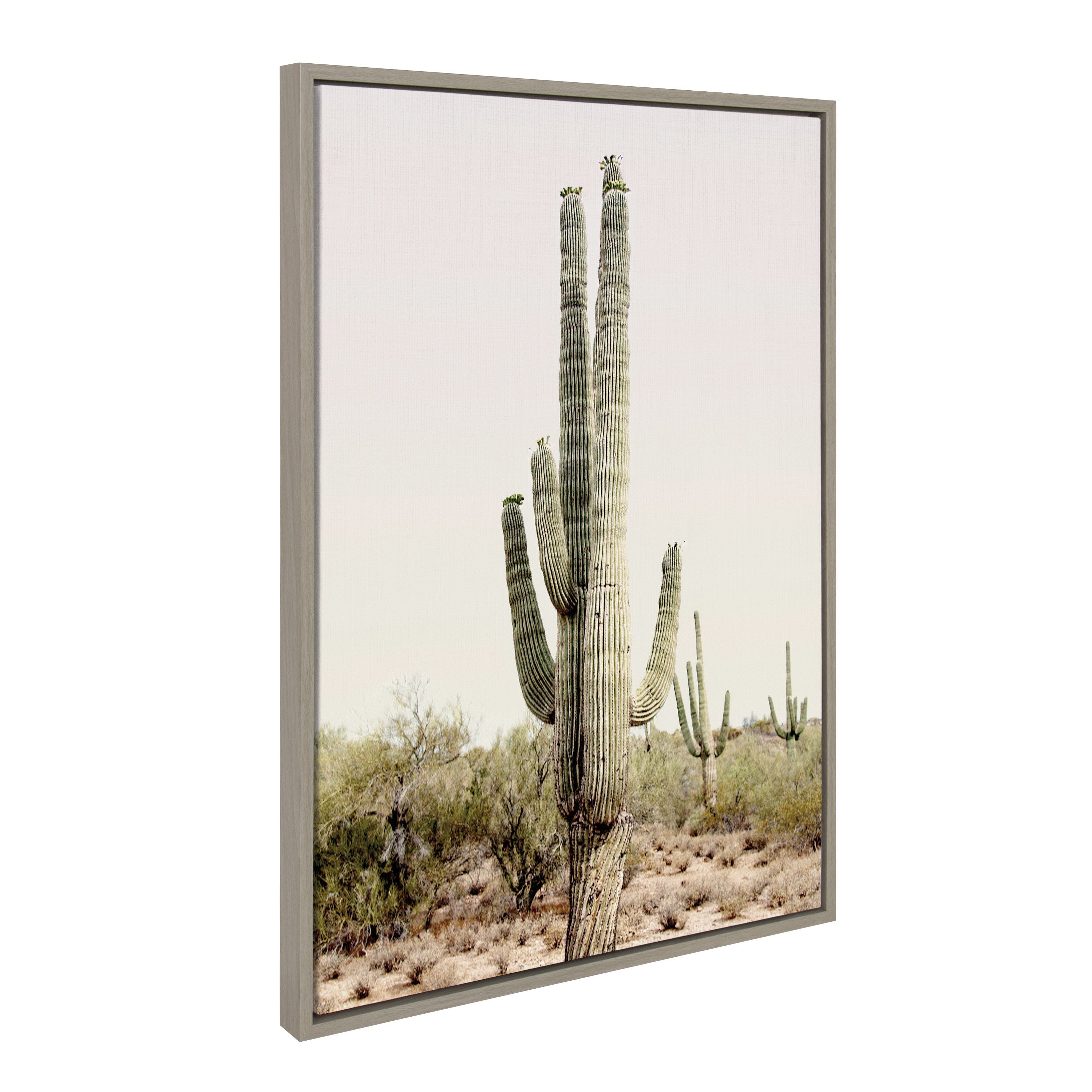 Sylvie Sunrise Cactus Framed Canvas by Amy Peterson Art Studio