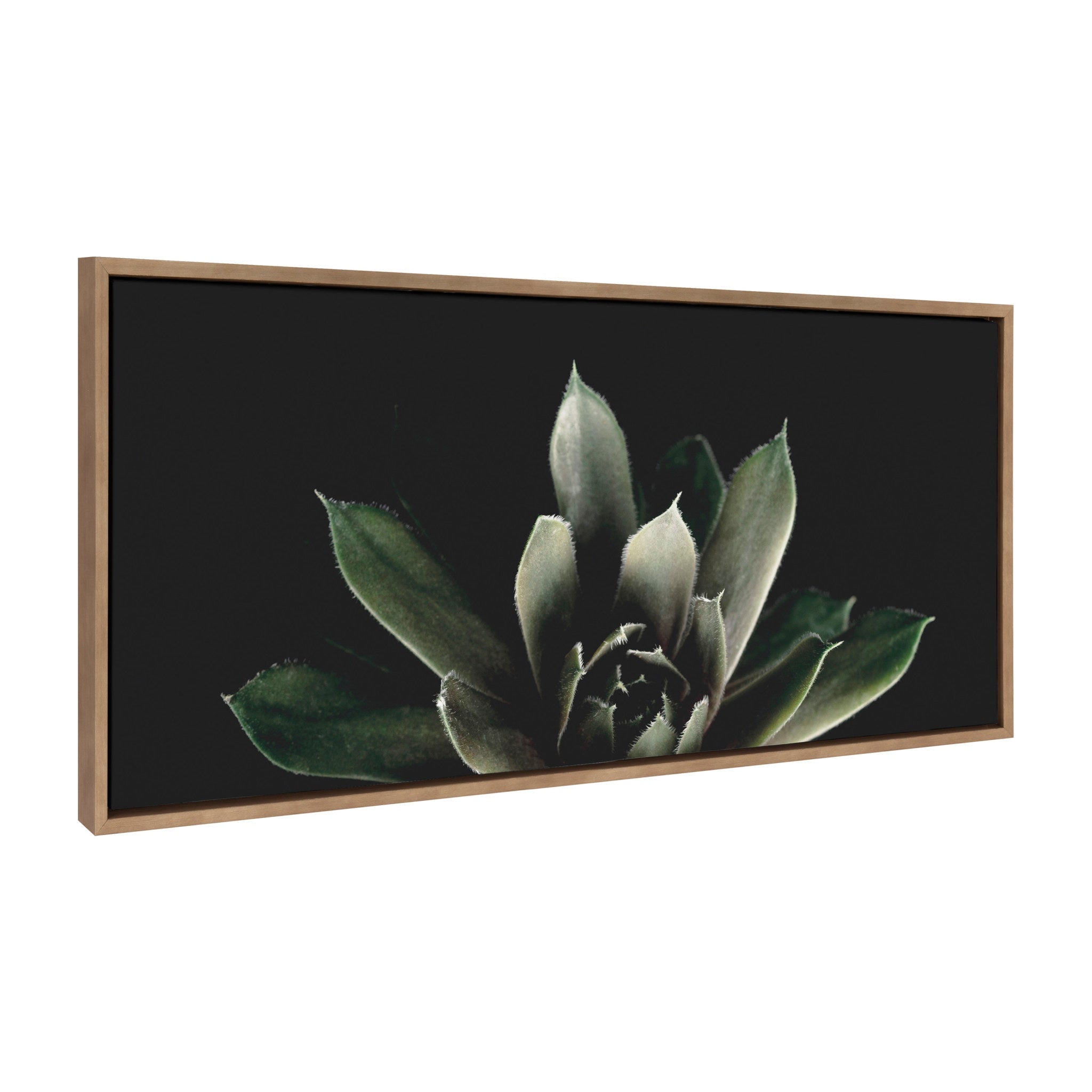 Sylvie Salutation Framed Canvas by Emiko and Mark Franzen of F2Images