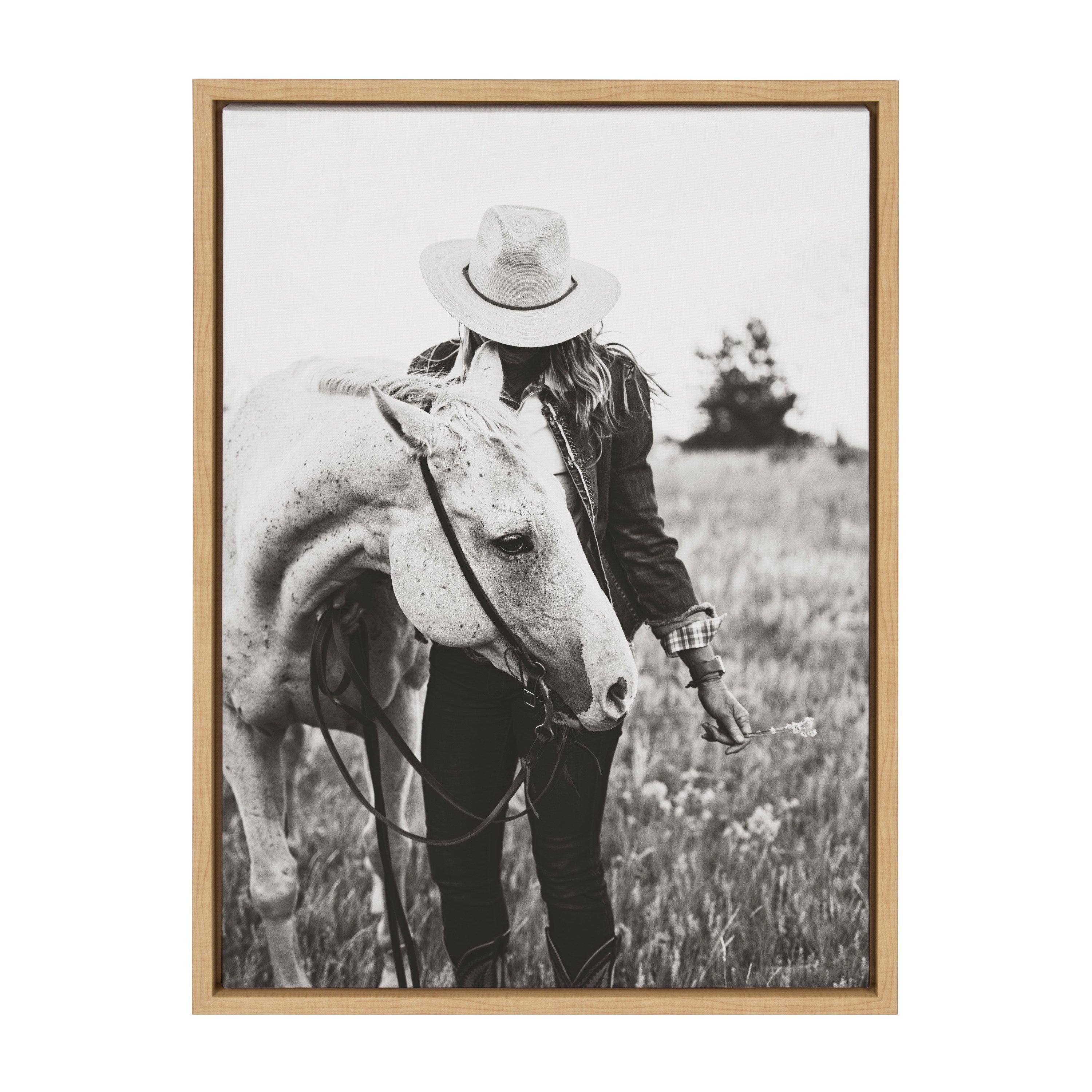 Sylvie Photo Silver Horse Framed Canvas by The Whiskey Ginger