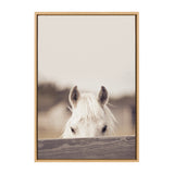 Sylvie Equine Framed Canvas by kateandlaurel - product image 7 for Resin Society