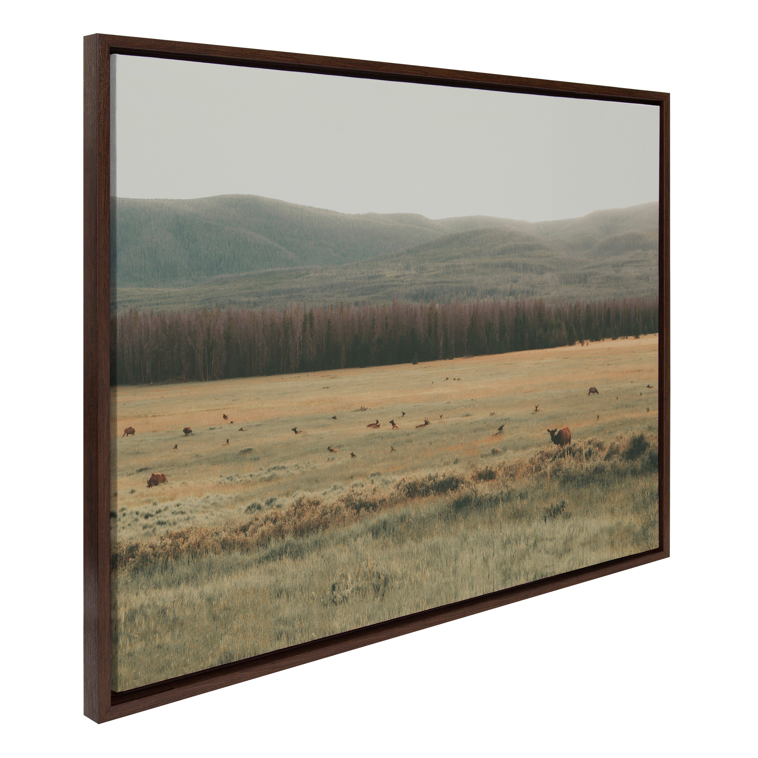 Framed canvas art titled 'Sylvie AA On The Range' showing a prairie landscape in gentle natural tones with a modern walnut frame.