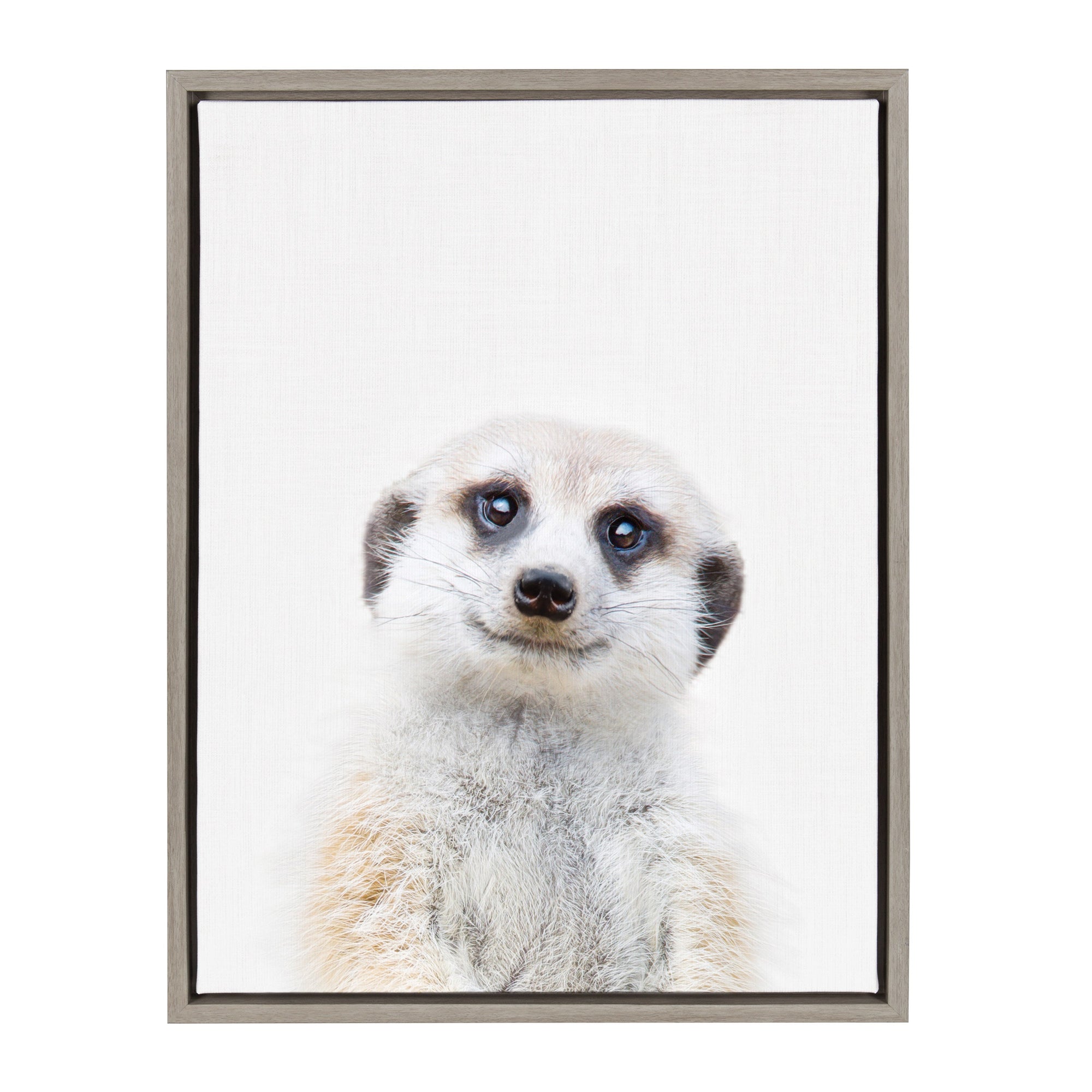 Sylvie Meerkat Framed Canvas by Amy Peterson by kateandlaurel - product image 12 for Resin Society