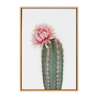 Sylvie Pink Cactus Flower Framed Canvas by Amy Peterson Art Studio