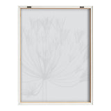 Black and white x-ray style print of agapanthus floral stems inside a white wooden frame viewed from the front.