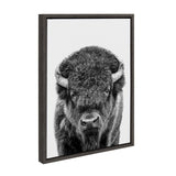 Black and white frontal portrait of a bison with textured fur and curved horns in a simple dark frame on white background.