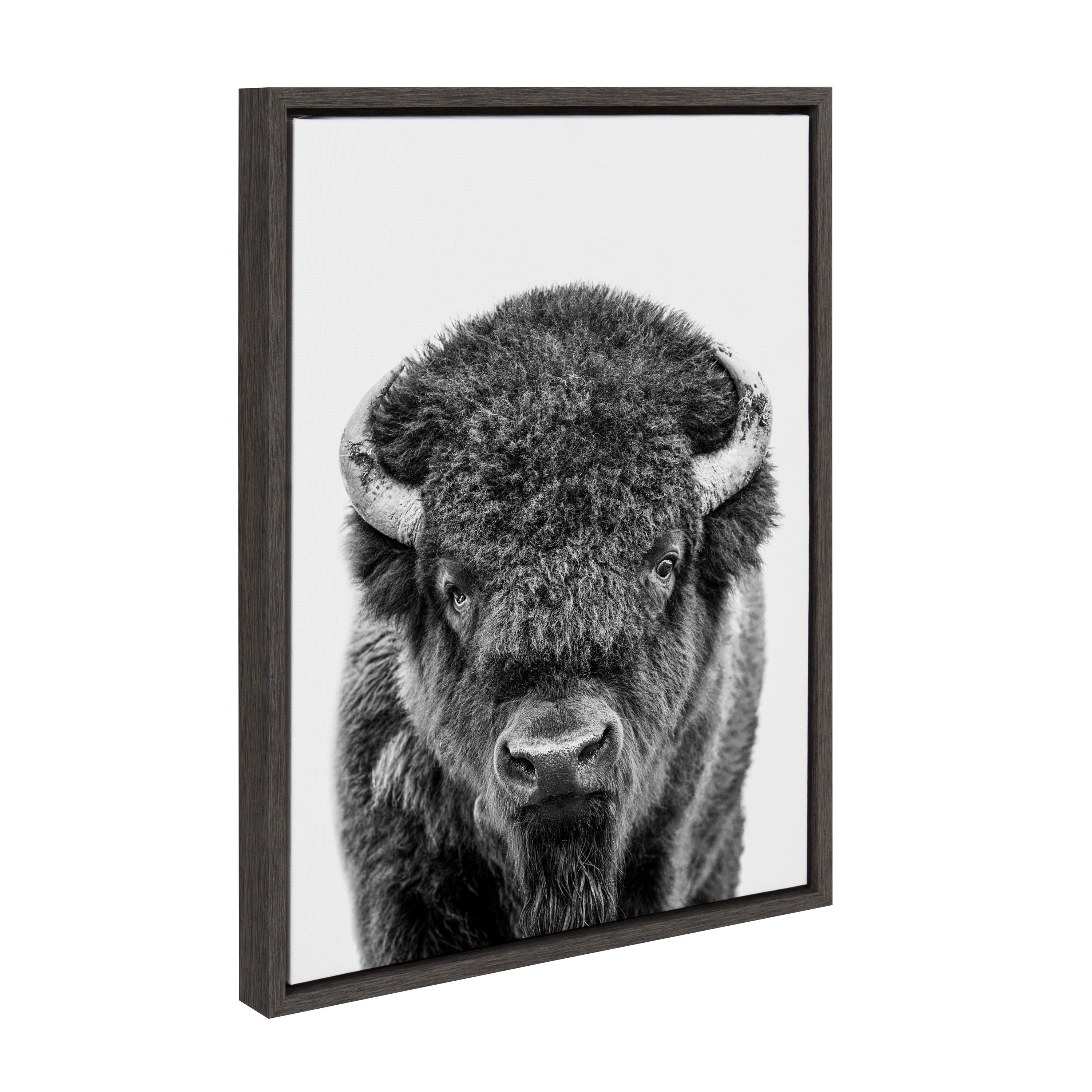 Sylvie Bison Portrait Black and White Framed Canvas by Amy Peterson Art Studio