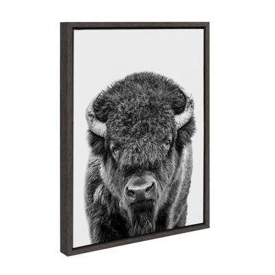 Sylvie Bison Portrait Black and White Framed Canvas by Amy Peterson Art Studio
