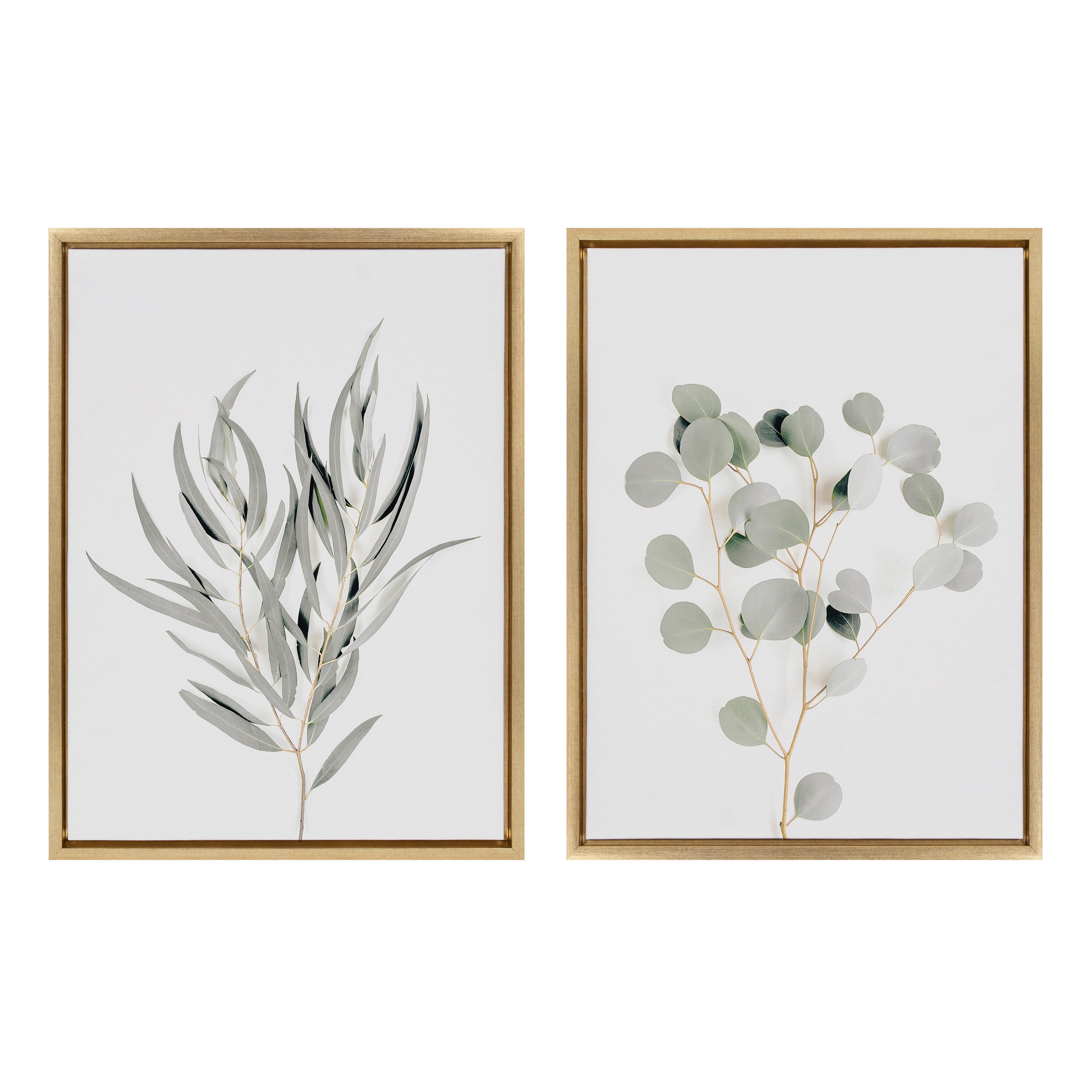 Sylvie Neutral Botanical 1 and 2 Framed Canvas Set by The Creative by kateandlaurel - product image 9 for Resin Society
