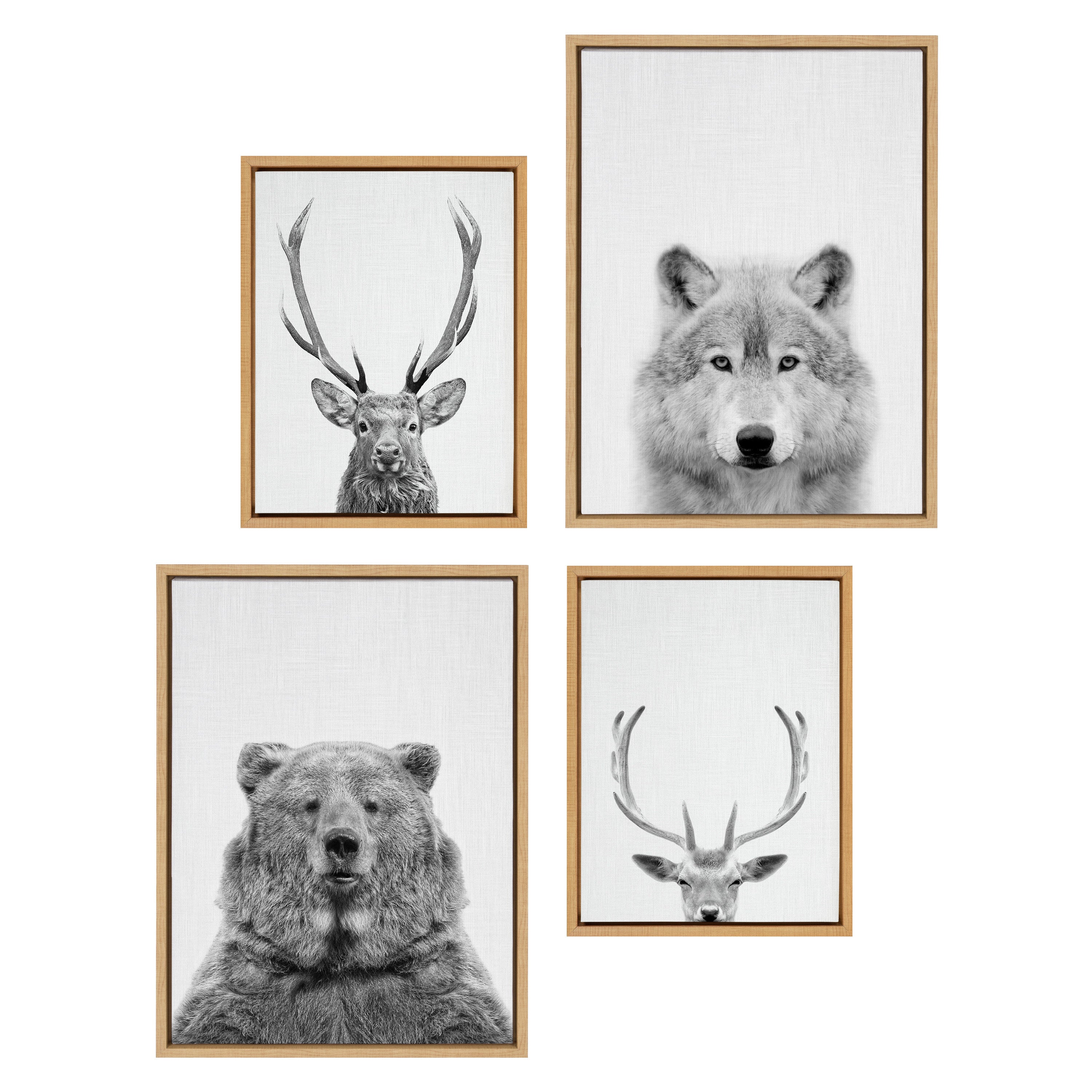 Sylvie Deer, Wolf, Bear European and Cervus Elaphus Black and White Framed Canvas Art Set